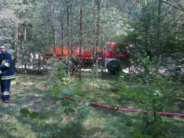 Pożar lasu w powiecie ostrowskim (zdjęcia)