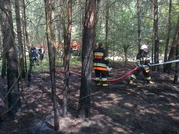 Pożar lasu w powiecie ostrowskim (zdjęcia)