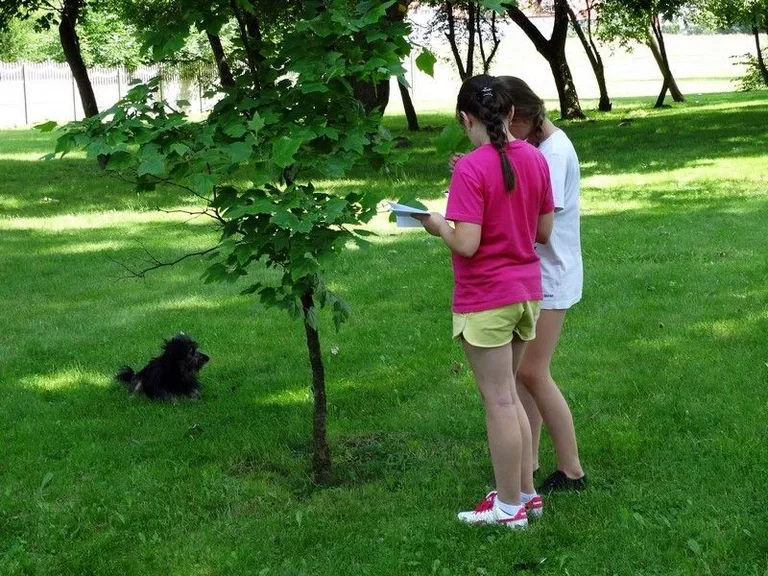 Zajęcia wakacyjne w SP 1 (zdjęcia)