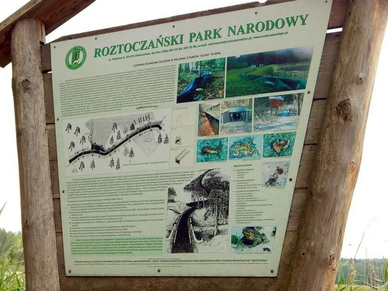 Zakręcona Ostrów na drogach Roztocza