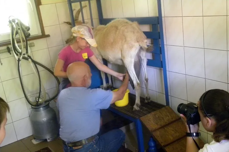 Dzieci na wycieczce w Glinie (zdjęcia)