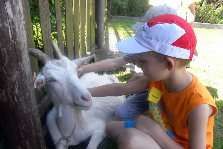 Dzieci na wycieczce w Glinie (zdjęcia)