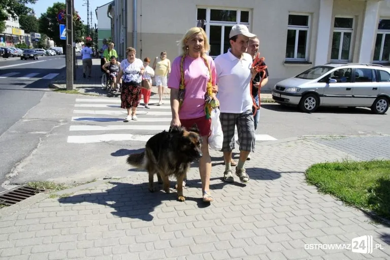 Dogoterapia nad stawem (zdjęcia)