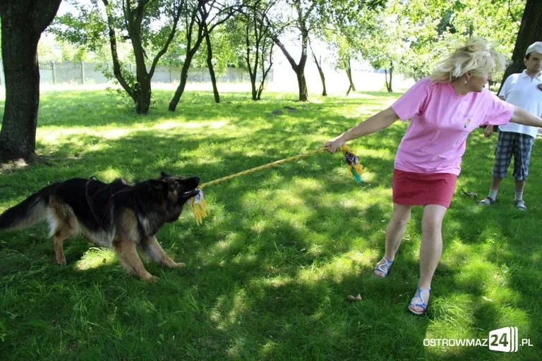 Dogoterapia nad stawem (zdjęcia)