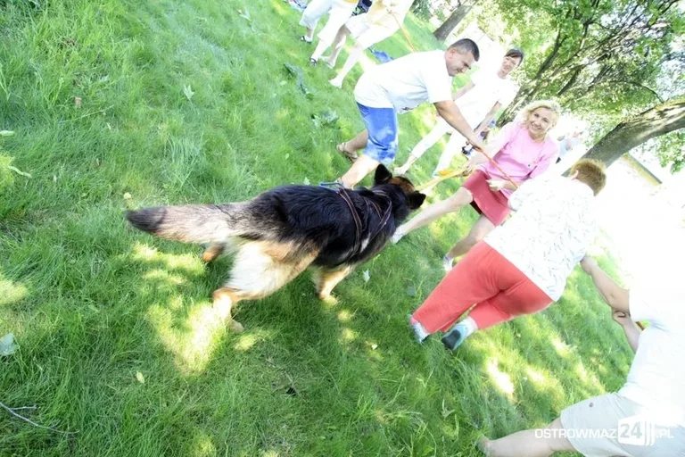 Dogoterapia nad stawem (zdjęcia)