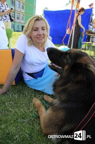 Trwa piknik integracyjny (zdjęcia, wideo)