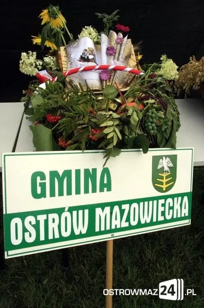 Dożynki Powiatowe w Ugniewie (zdjęcia, wideo)