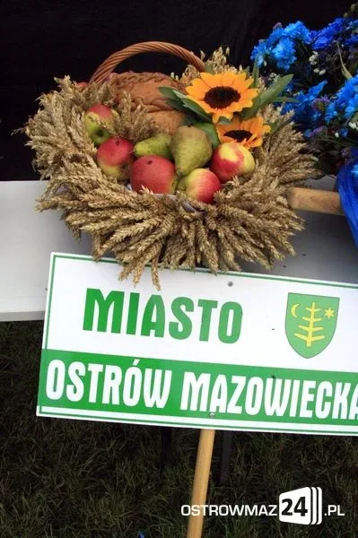 Dożynki Powiatowe w Ugniewie (zdjęcia, wideo)