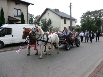 Poprzednie zdjęcie