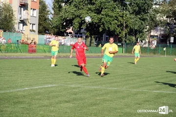 Następne zdjęcie