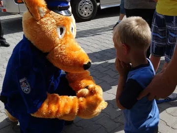 Poprzednie zdjęcie