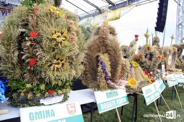 Poprzednie zdjęcie