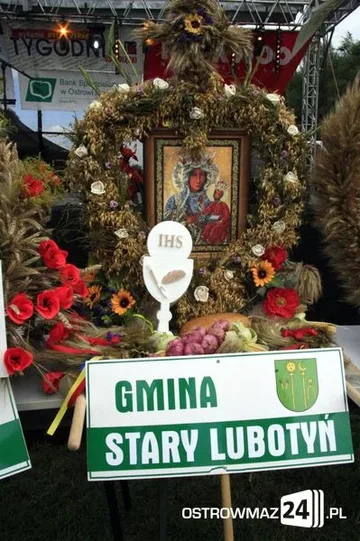 Następne zdjęcie