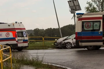Następne zdjęcie