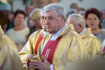 Następne zdjęcie