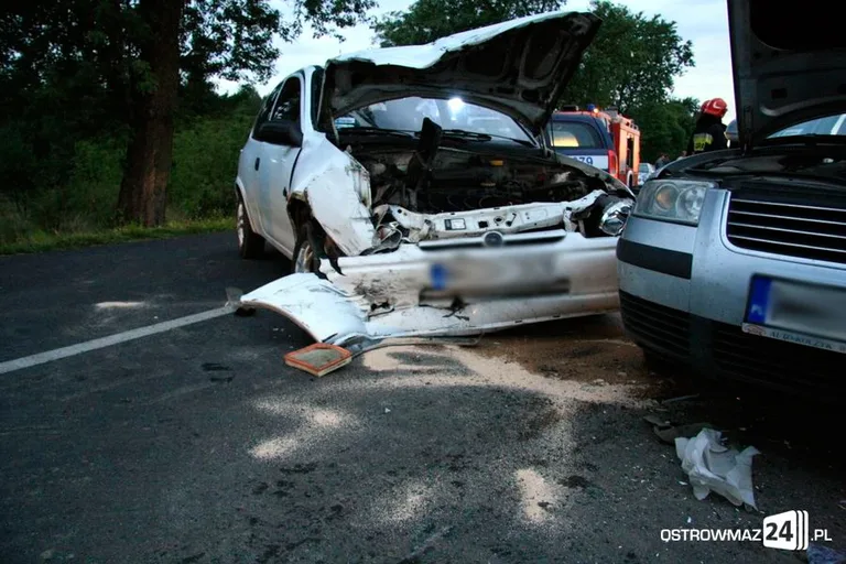 Wypadek w Ugniewie. 5 osób rannych (zdjęcia)