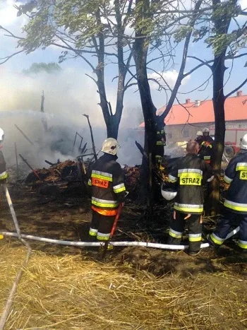 Pracowity dzień straży pożarnej (zdjęcia)