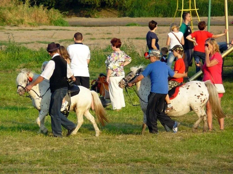 Brok pożegnał lato (zdjęcia)