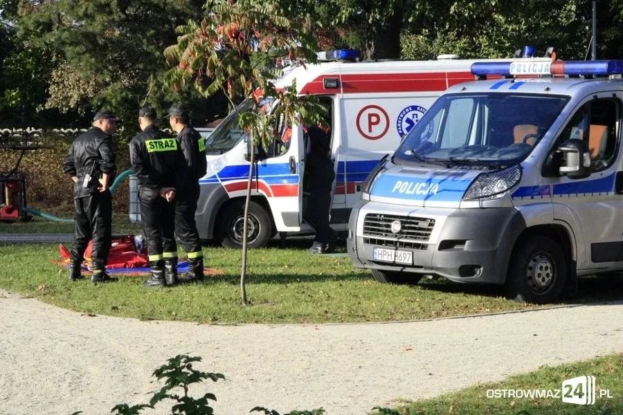 Festyn i piknik w Ogrodzie Jordanowskim (zdjęcia)
