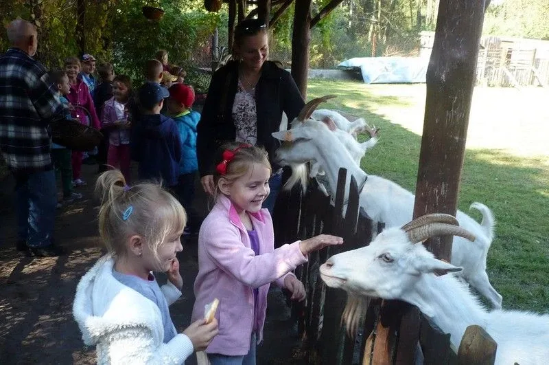 Agro-edukacyjne warsztaty integracyjne (zdjęcia)
