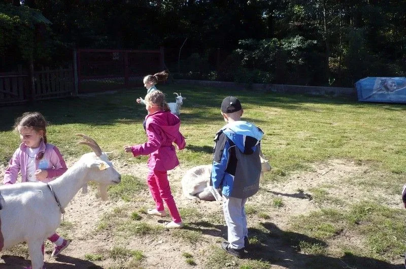 Agro-edukacyjne warsztaty integracyjne (zdjęcia)