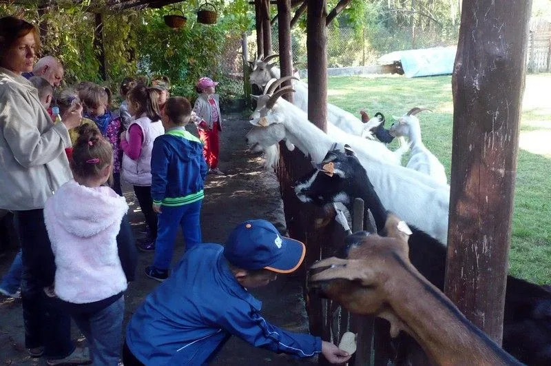 Agro-edukacyjne warsztaty integracyjne (zdjęcia)