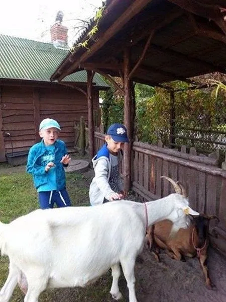 Agro-edukacyjne warsztaty integracyjne (zdjęcia)