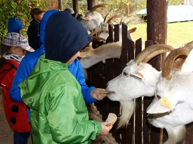 Agro-edukacyjne warsztaty integracyjne (zdjęcia)
