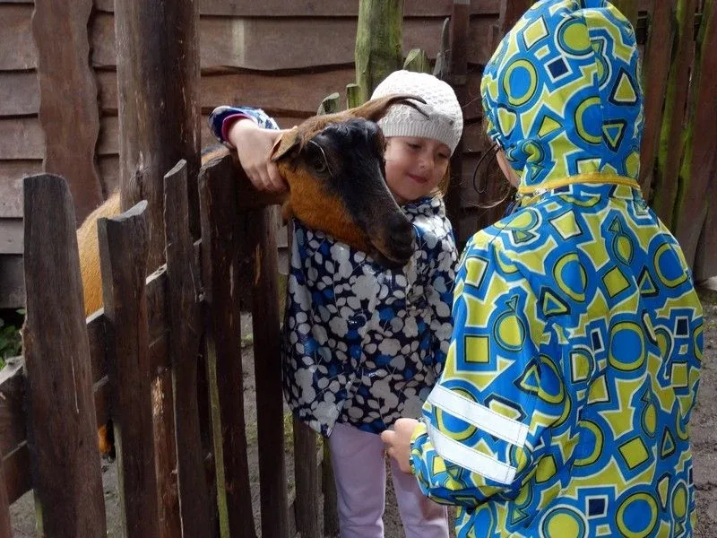 Agro-edukacyjne warsztaty integracyjne (zdjęcia)