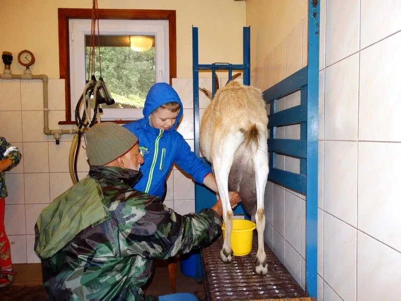 Agro-edukacyjne warsztaty integracyjne (zdjęcia)