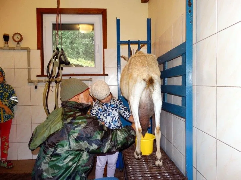 Agro-edukacyjne warsztaty integracyjne (zdjęcia)