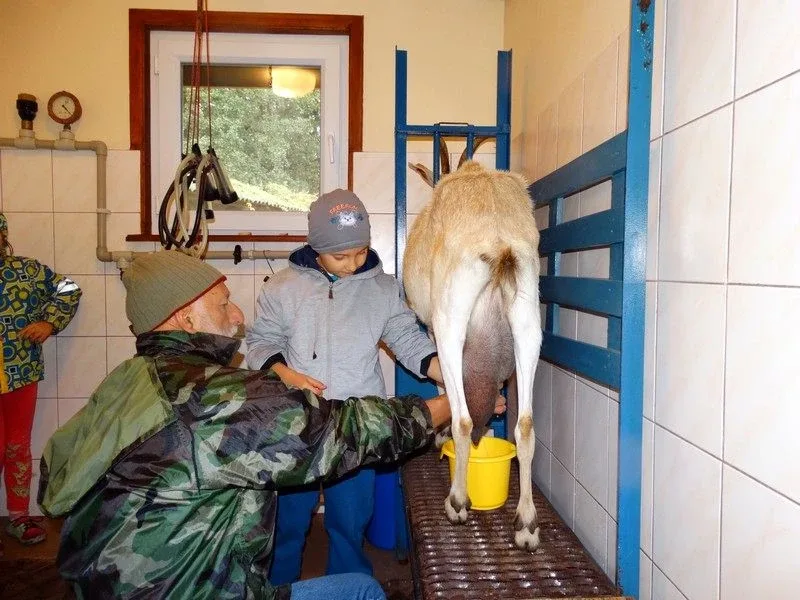 Agro-edukacyjne warsztaty integracyjne (zdjęcia)