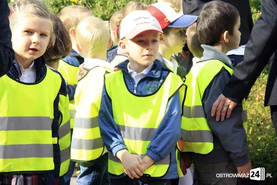 Zakrętkowy dzień przedszkolaka (zdjęcia)