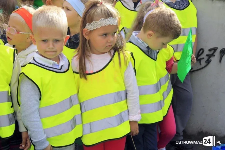Zakrętkowy dzień przedszkolaka (zdjęcia)