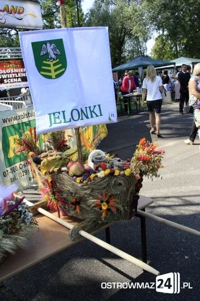 Margaret rozgrzała publiczność (zdjęcia, wideo)