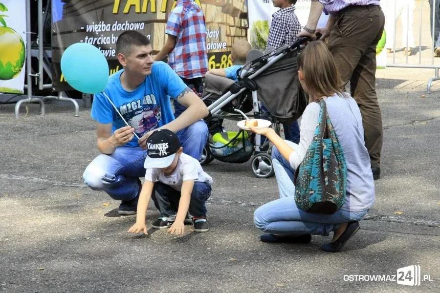 Trwają Dożynki Gminne w Komorowie (zdjęcia)