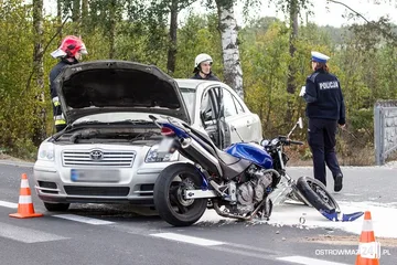 Poprzednie zdjęcie