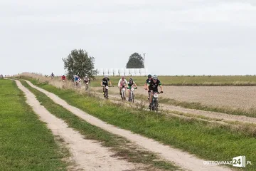 Następne zdjęcie