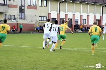 Następne zdjęcie
