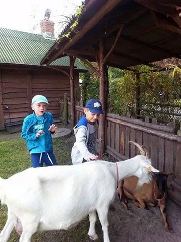 Poprzednie zdjęcie