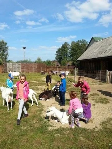 Poprzednie zdjęcie