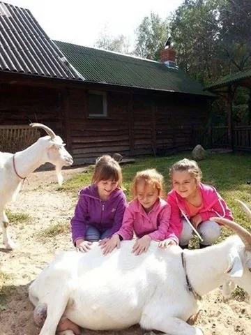 Poprzednie zdjęcie