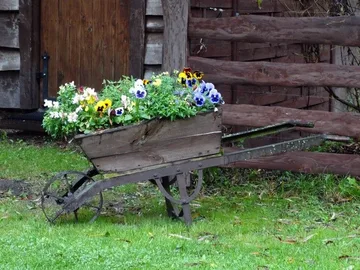 Następne zdjęcie