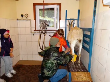 Poprzednie zdjęcie