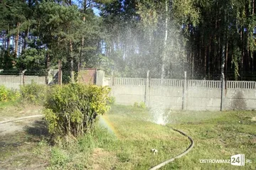 Następne zdjęcie