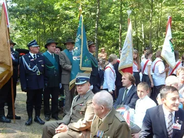 Następne zdjęcie