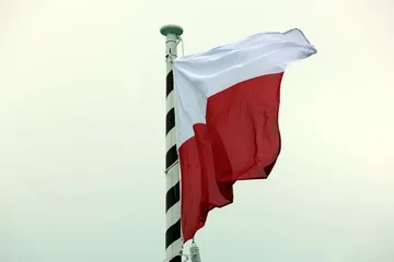 Następne zdjęcie