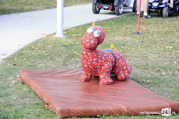 Loka na Pikniku Rodzinnym (zdjęcia)