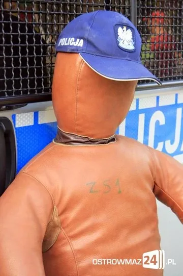 Następne zdjęcie