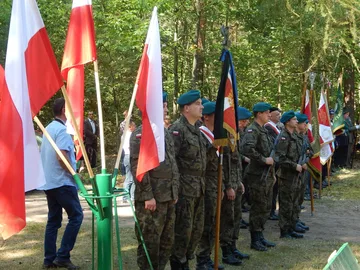 Następne zdjęcie